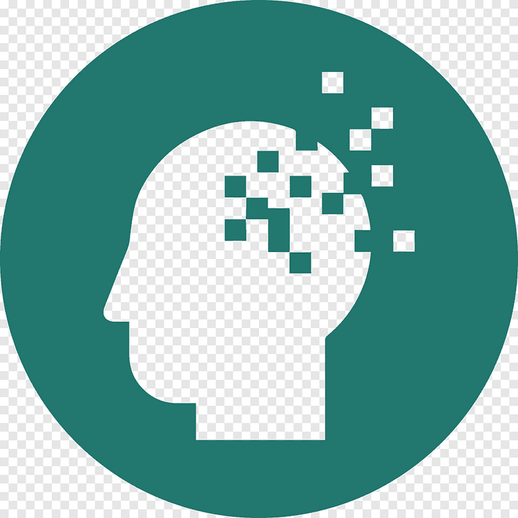 Brain & Memory Function